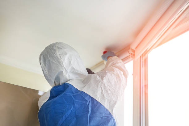 Best Residential Mold Inspection & Testing  in Wappingers Falls, NY