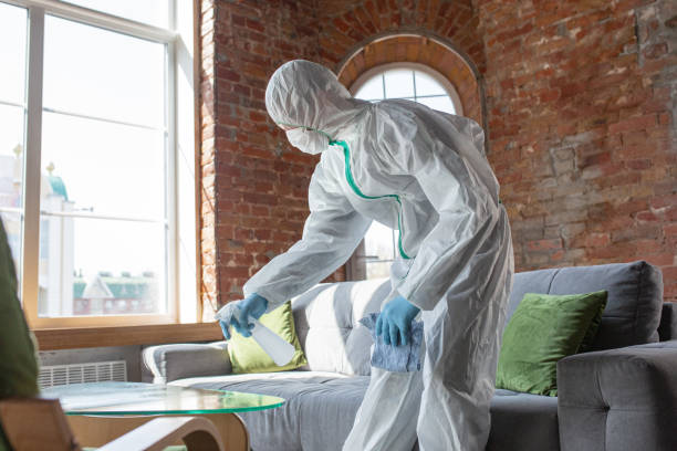 Best Attic Mold Removal  in Wappingers Falls, NY