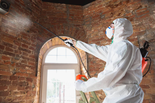 Best Mold Prevention Services  in Wappingers Falls, NY